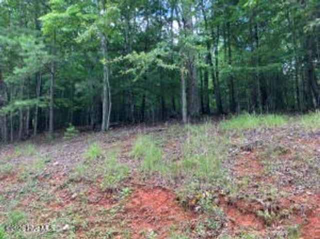 Lot 11 Green Cove Circle, Murphy, NC 28906