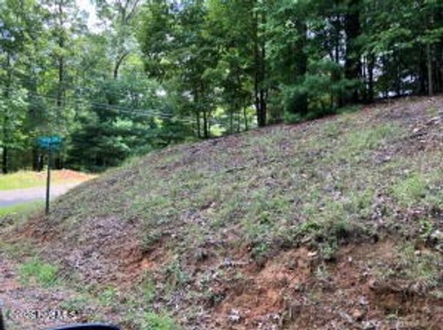 Lot 11 Green Cove Circle, Murphy, NC 28906