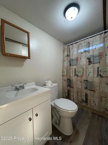 22356 La Crosse Street, Brooksville, FL 34601
