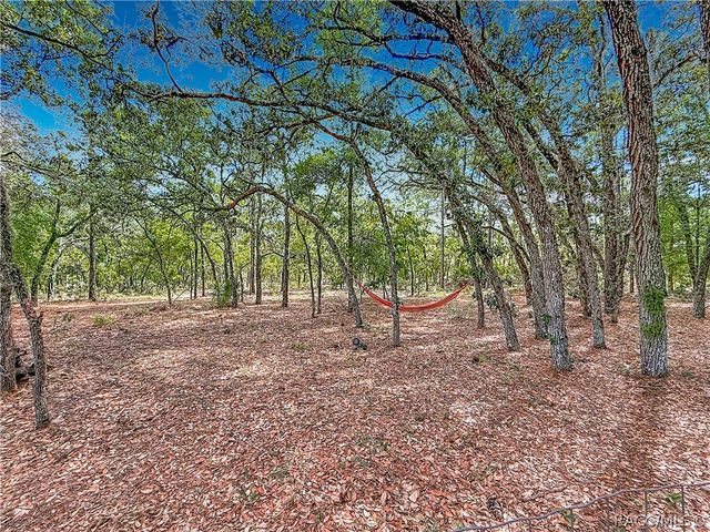 4789 N Capistrano Loop, Beverly Hills, FL 34465