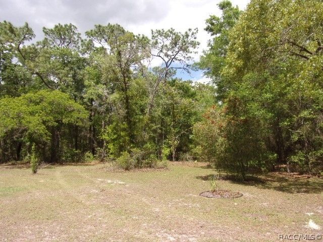 8342 N Pine Haven Point, Crystal River, FL 34428