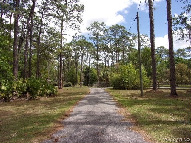 8342 N Pine Haven Point, Crystal River, FL 34428