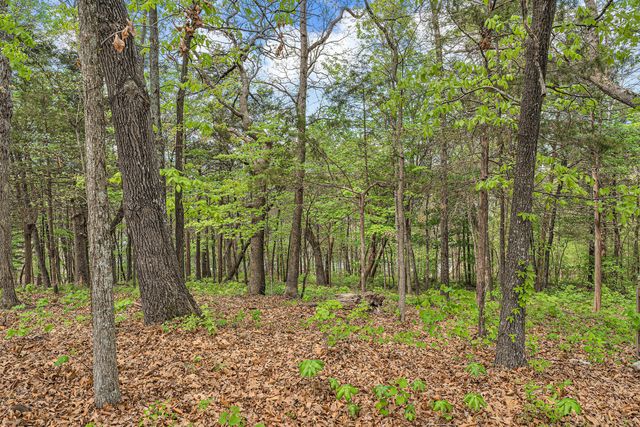 40 Kimberling 1, Kimberling City, MO 65686