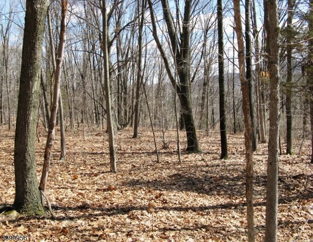 1333 State Route 57, Mansfield Twp., NJ 07865