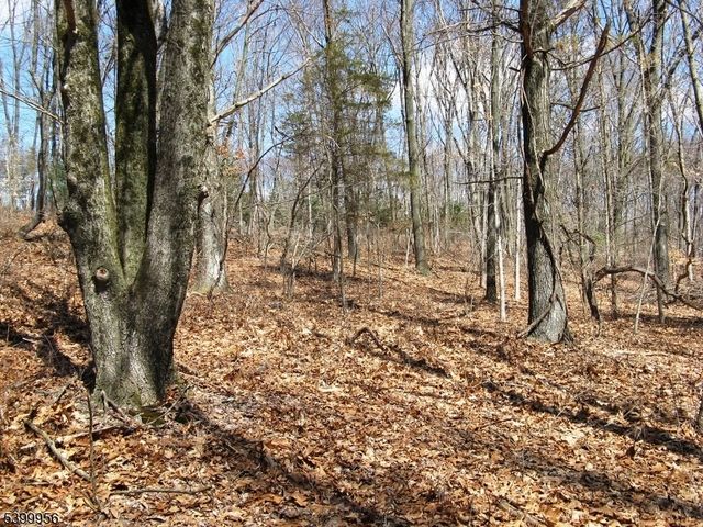 1333 State Route 57, Mansfield Twp., NJ 07865