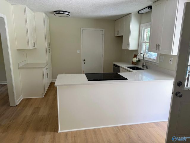 181 Charles Drive, Hazel Green, AL 35750
