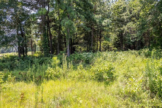 Lot 71 Star Mountain, Winona, TX 75792