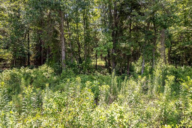 Lot 71 Star Mountain, Winona, TX 75792