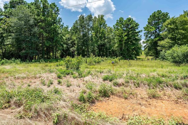 Lot 71 Star Mountain, Winona, TX 75792