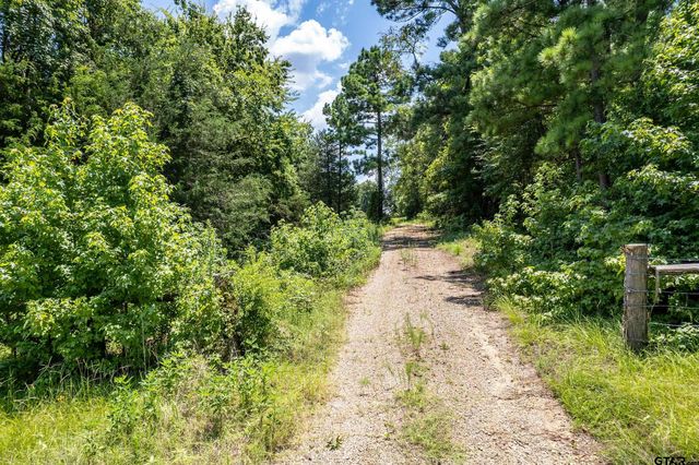 Lot 71 Star Mountain, Winona, TX 75792