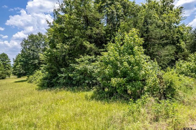 Lot 71 Star Mountain, Winona, TX 75792