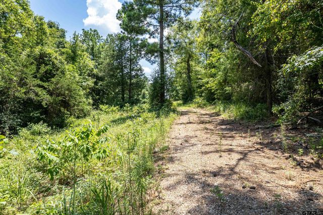 Lot 71 Star Mountain, Winona, TX 75792