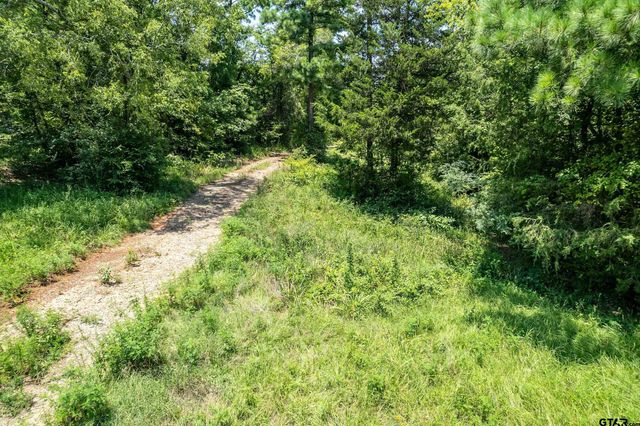 Lot 71 Star Mountain, Winona, TX 75792