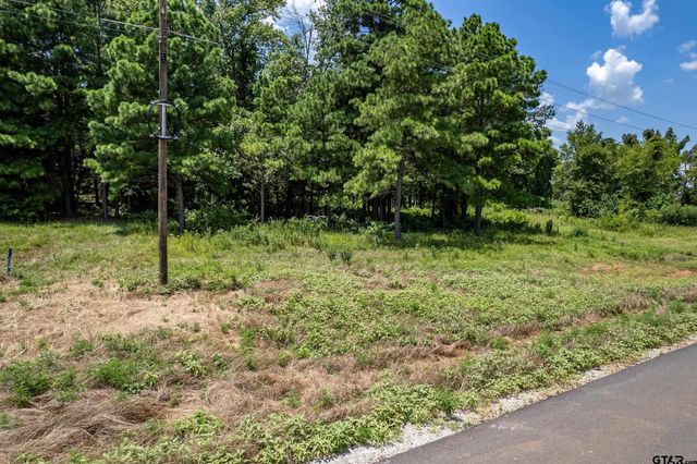Lot 71 Star Mountain, Winona, TX 75792