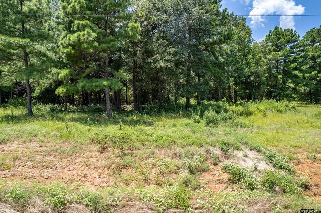 Lot 71 Star Mountain, Winona, TX 75792