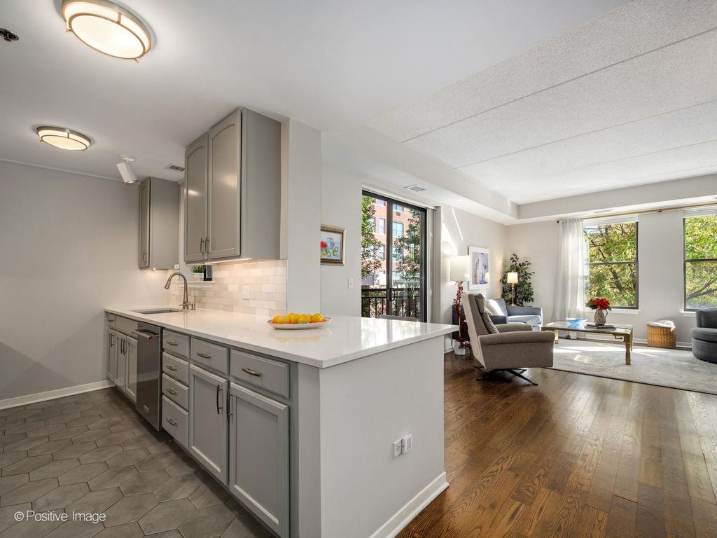 2335 W Belle Plaine Avenue 209, Chicago, IL 60618 — photo 2