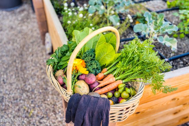 4419 E Water Street, Tucson, AZ 85712