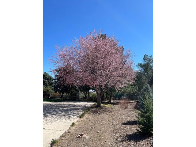 5860 Wood Sorrel Dr, Littleton, CO 80123