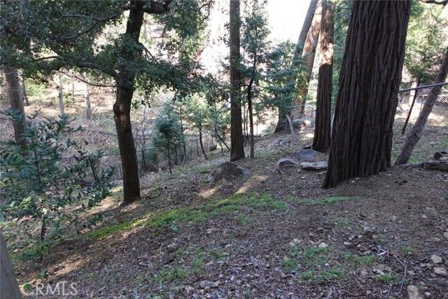 23950 Bowl Rd, Crestline, CA 92325