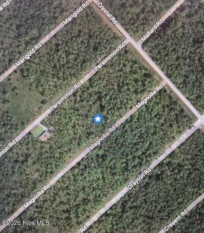 323 Magnolia Road, Southport, NC 28461