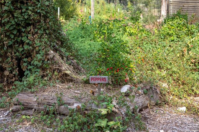 301 Lander LN, Dripping Springs, TX 78620