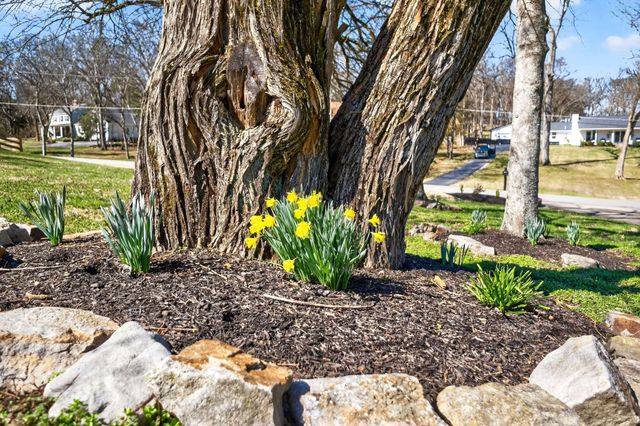 1203 Perkins Ln, Franklin, TN 37069