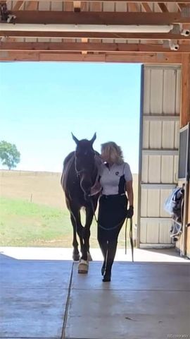 7600 Patrick Trail, Elizabeth, CO 80107