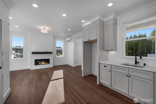 4 Springboard Street, Pacific Beach, WA 98571