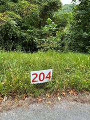 204 Ox Bow Ave, Unicoi, TN 37692