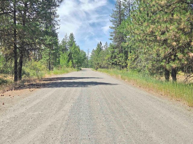 13711 W FARWELL Rd, Nine Mile Falls, WA 99026