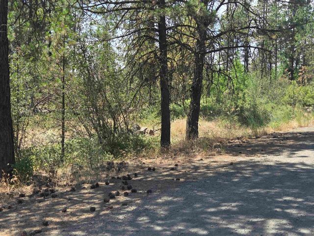 13711 W FARWELL Rd, Nine Mile Falls, WA 99026