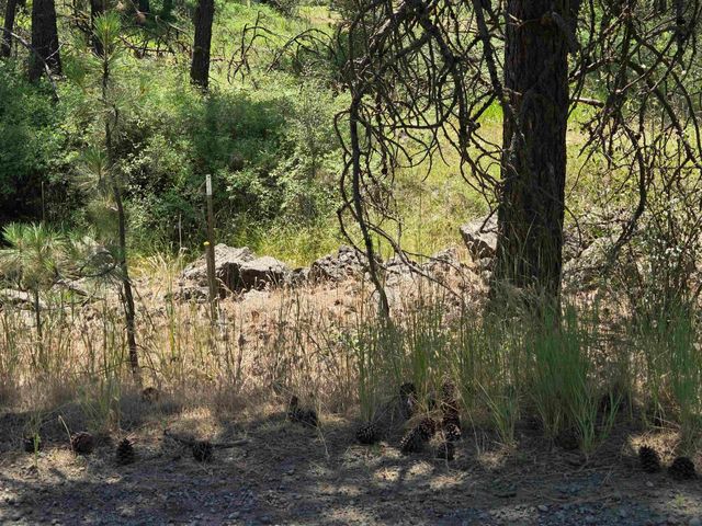 13711 W FARWELL Rd, Nine Mile Falls, WA 99026