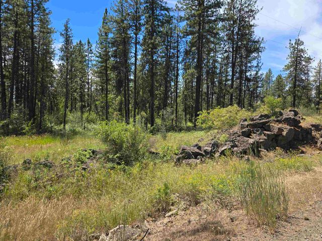 13711 W FARWELL Rd, Nine Mile Falls, WA 99026