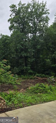 1677 Daffodil Drive, Marietta, GA 30062