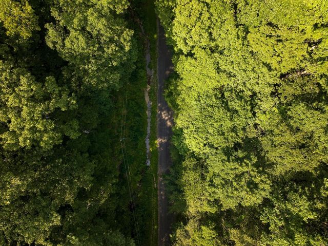 22 Deer Wood Tr, Pegram, TN 37143