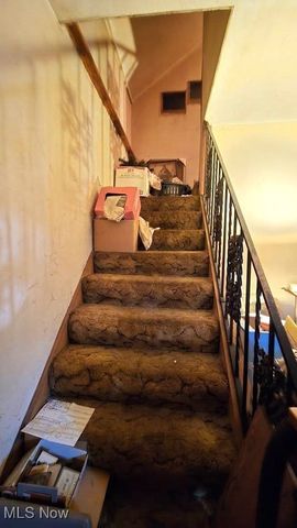 3221 W 56th Street, Cleveland, OH 44102