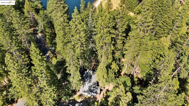 22977 Hawk Ln, Twain Harte, CA 95383