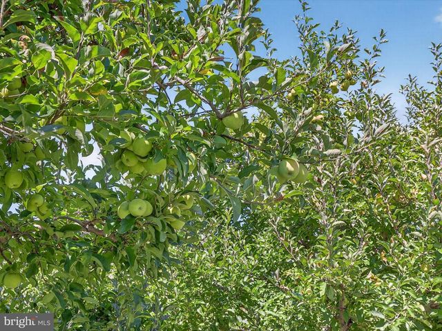 1494 MOUNTAIN RD, Orrtanna, PA 17353