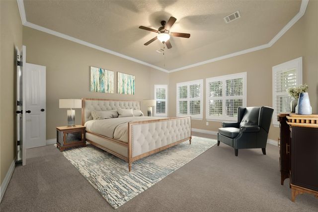 317 Ridgelake Scenic Drive, Montgomery, TX 77316