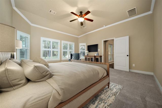 317 Ridgelake Scenic Drive, Montgomery, TX 77316