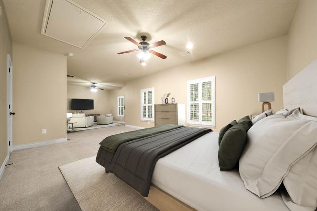 317 Ridgelake Scenic Drive, Montgomery, TX 77316