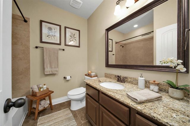 317 Ridgelake Scenic Drive, Montgomery, TX 77316