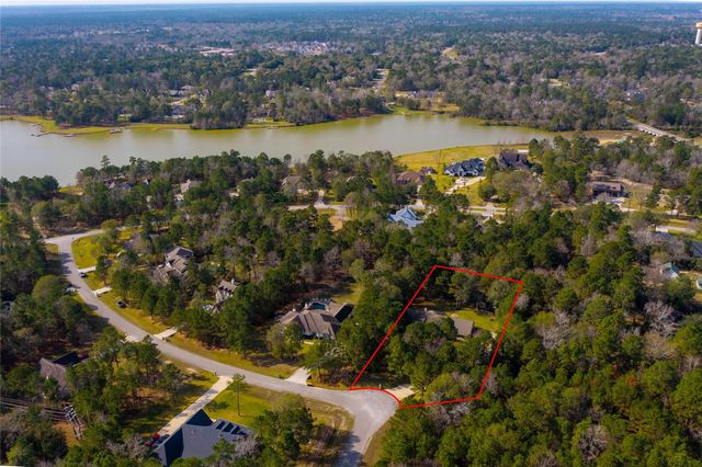 317 Ridgelake Scenic Drive, Montgomery, TX 77316