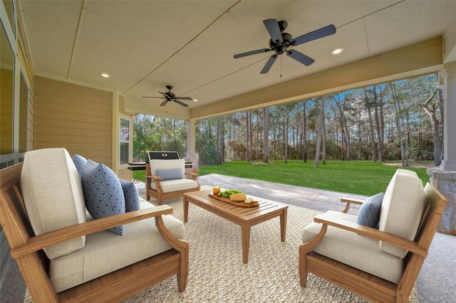 317 Ridgelake Scenic Drive, Montgomery, TX 77316