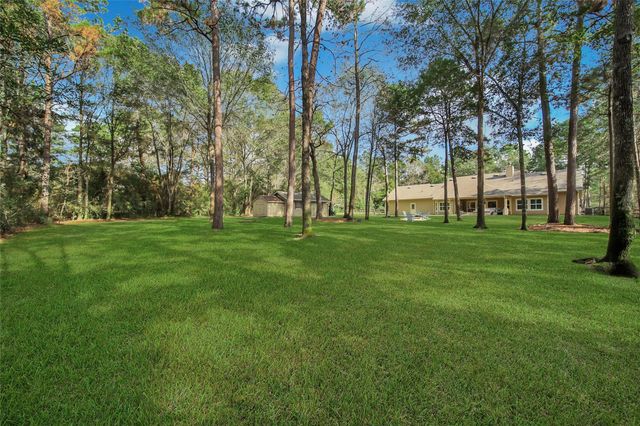 317 Ridgelake Scenic Drive, Montgomery, TX 77316