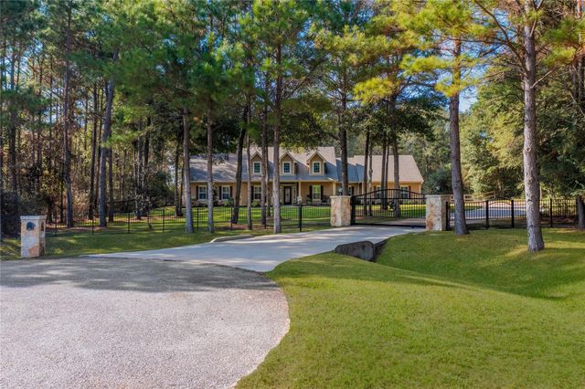 317 Ridgelake Scenic Drive, Montgomery, TX 77316