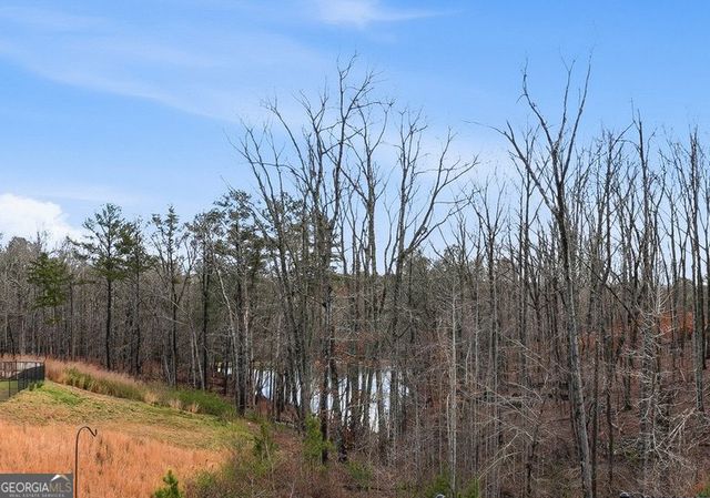 720 Cherokee Rose, Bremen, GA 30110