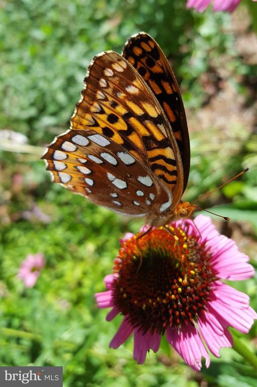 Image 48 of property listing at 3915 LONGMOOR CIR, Phoenix, MD 21131