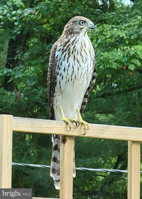 Image 49 of property listing at 3915 LONGMOOR CIR, Phoenix, MD 21131