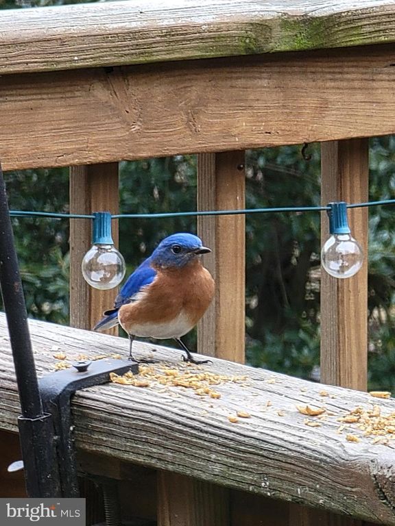 Image 50 of property listing at 3915 LONGMOOR CIR, Phoenix, MD 21131